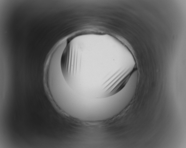 X0000087571152200705251815