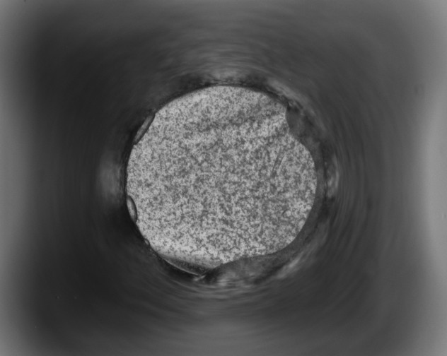 X0000087571156200705251814