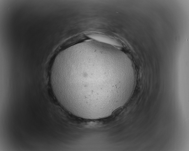 X0000087571160200705251814