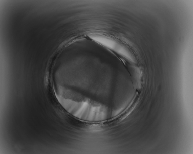 X0000087571161200705251814