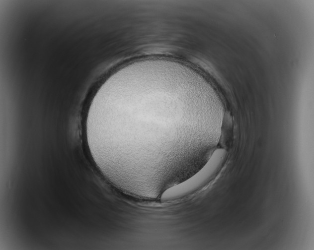 X0000087571164200705251814