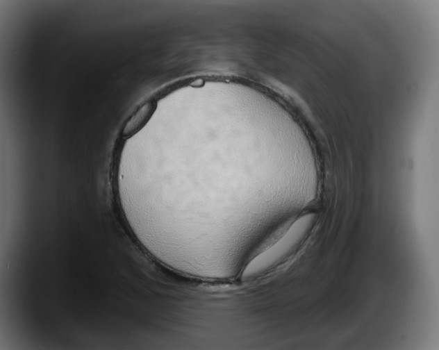 X0000087571168200705251814