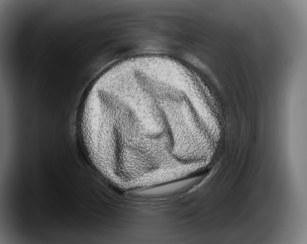 X0000087571170200705251814