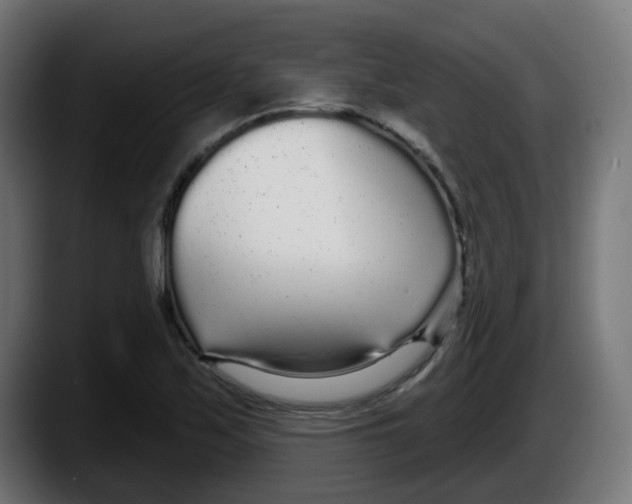 X0000087571171200705251814