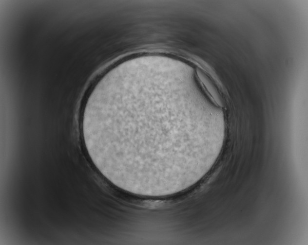 X0000087571176200705251814