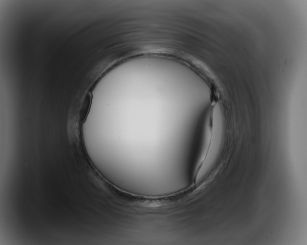 X0000087571177200705251814