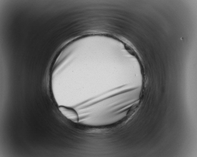 X0000087571179200705251814