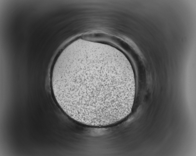 X0000087571184200705251814