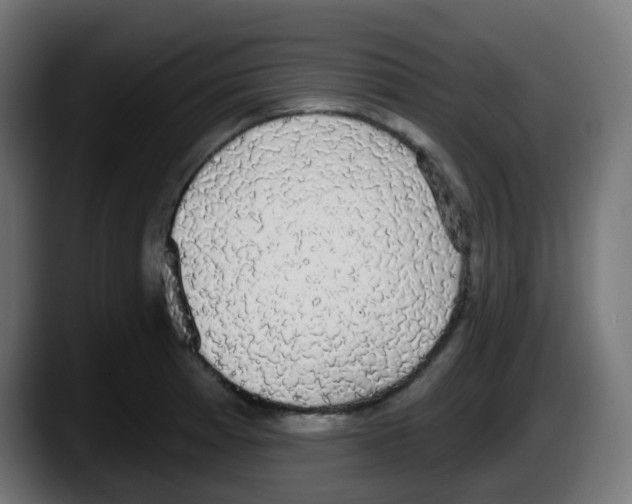 X0000087571185200705251814