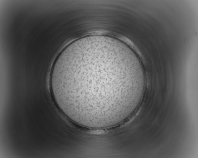 X0000087571186200705251814