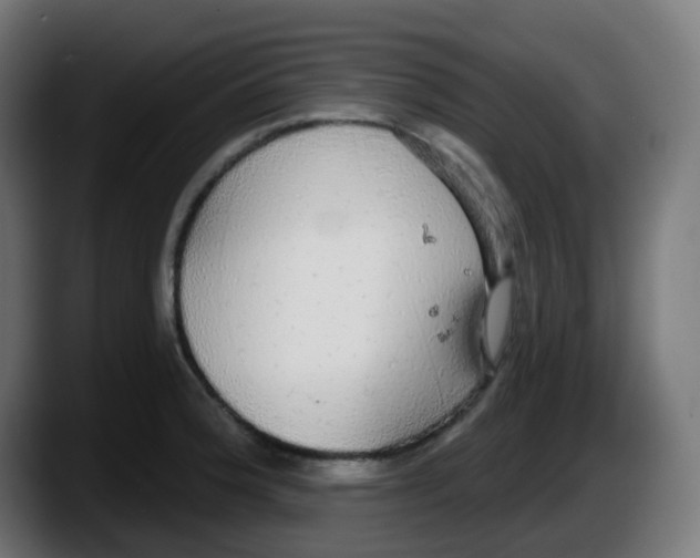 X0000087571188200705251814