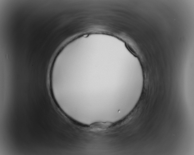 X0000087571191200705251814