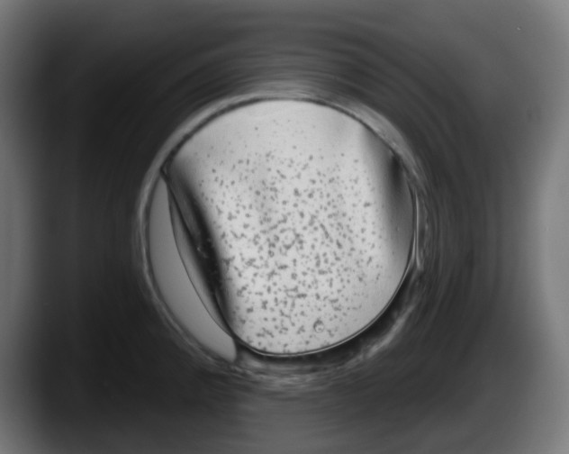 X0000087571192200705251814