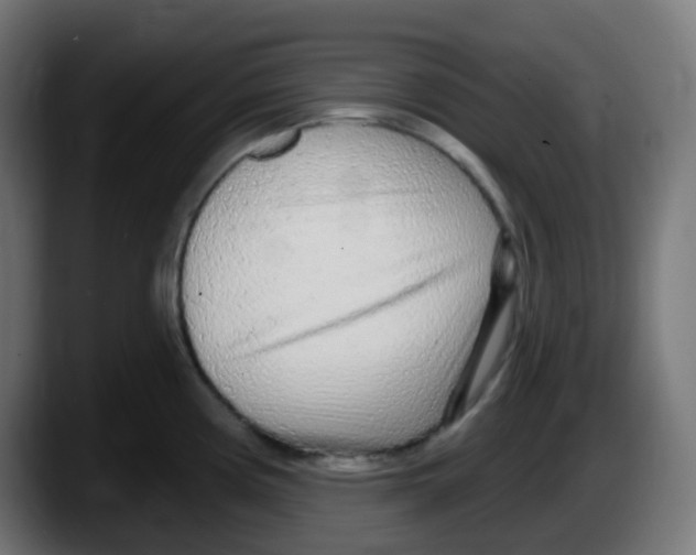 X0000087571194200705251814