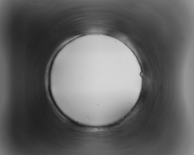 X0000087571195200705251814