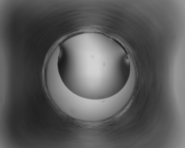 X0000087571196200705251814