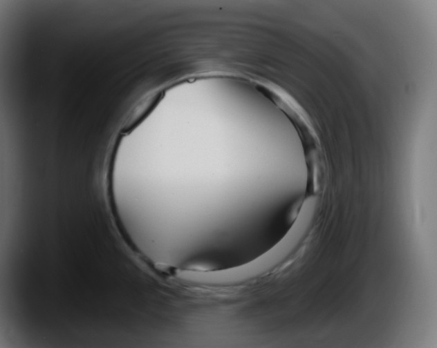 X0000087571197200705251814