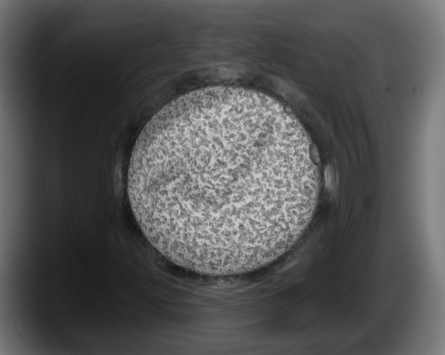 X0000087571203200705251813