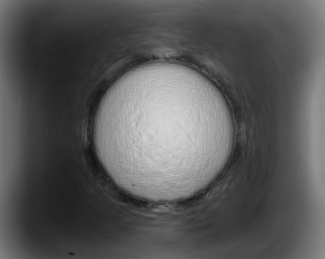 X0000087571205200705251813