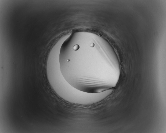 X0000087571206200705251813