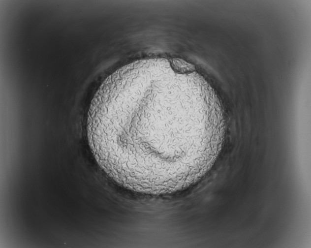 X0000087571207200705251813