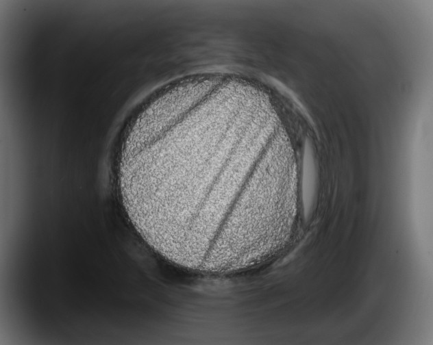 X0000087571215200705251813