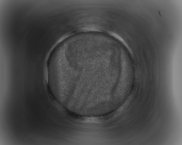 X0000087571219200705251813