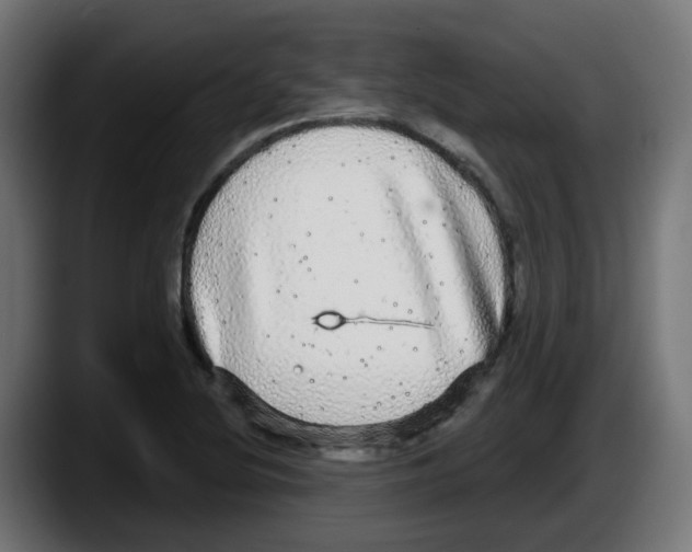 X0000087571220200705251814