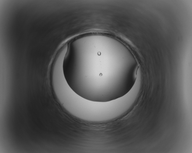 X0000087571222200705251814