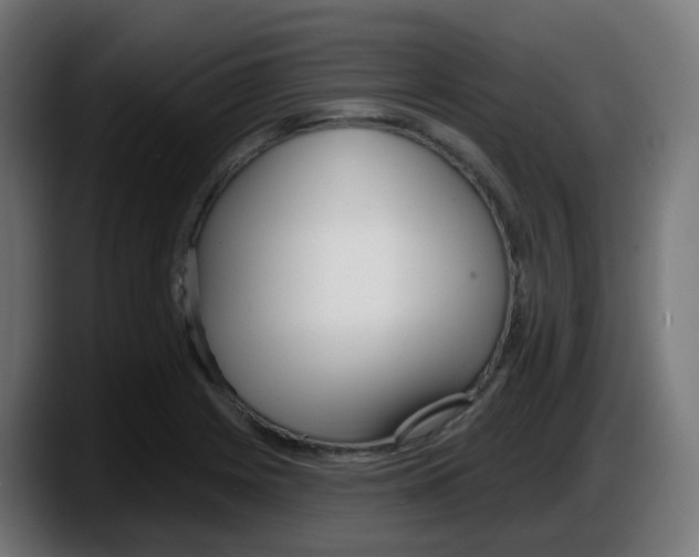 X0000087571225200705251814