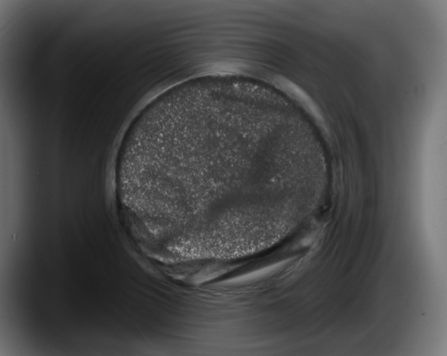 X0000087571226200705251814