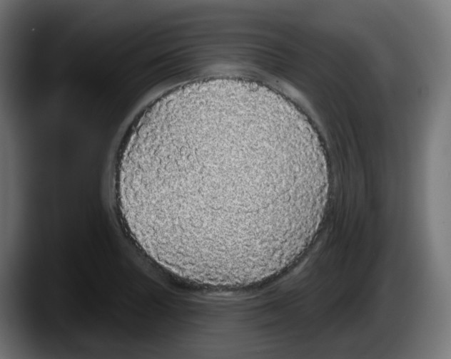 X0000087571227200705251814