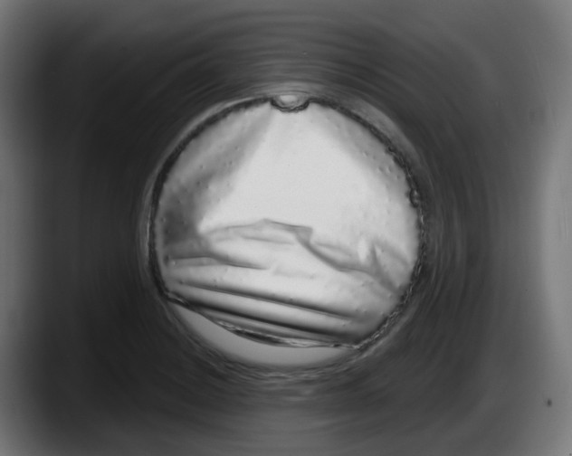 X0000087571228200705251814