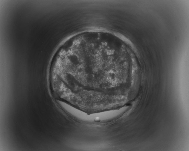 X0000087571231200705251814