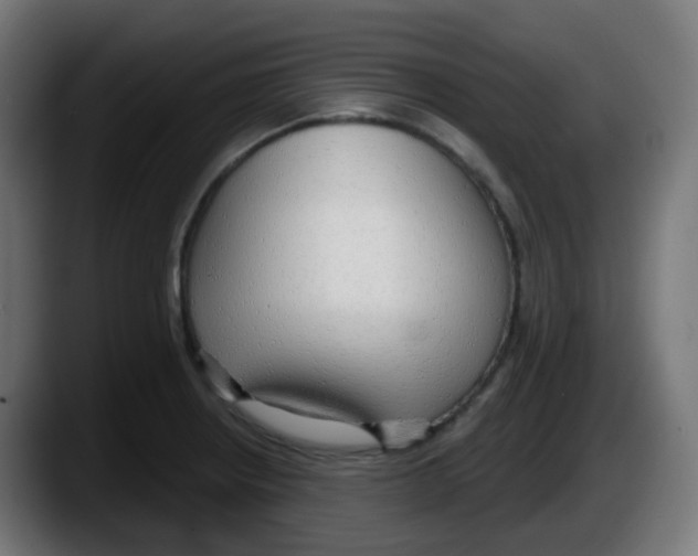 X0000087571234200705251814