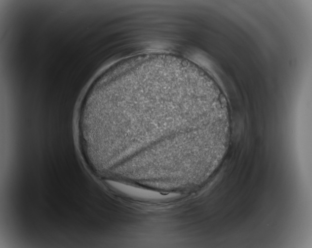 X0000087571235200705251814