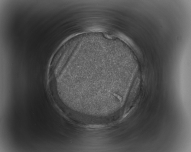 X0000087571236200705251814