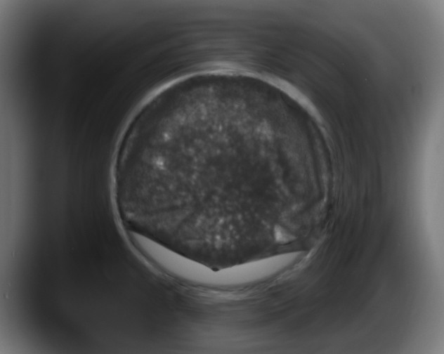 X0000087571239200705251814