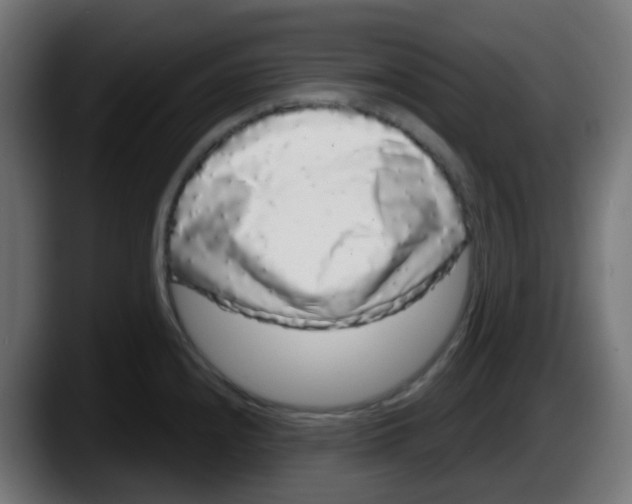 X0000087571240200705251814