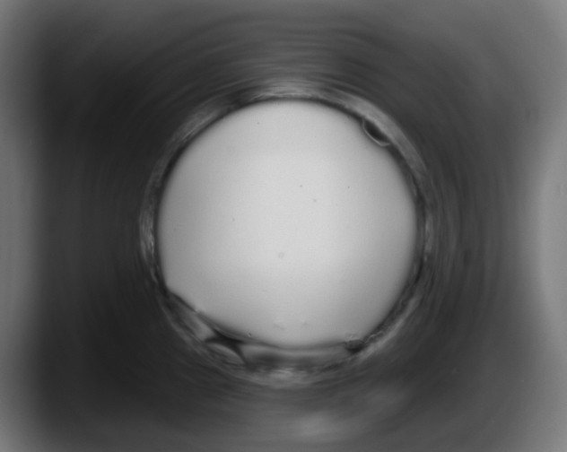 X0000087571241200705251814