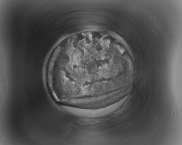 X0000087571243200705251814