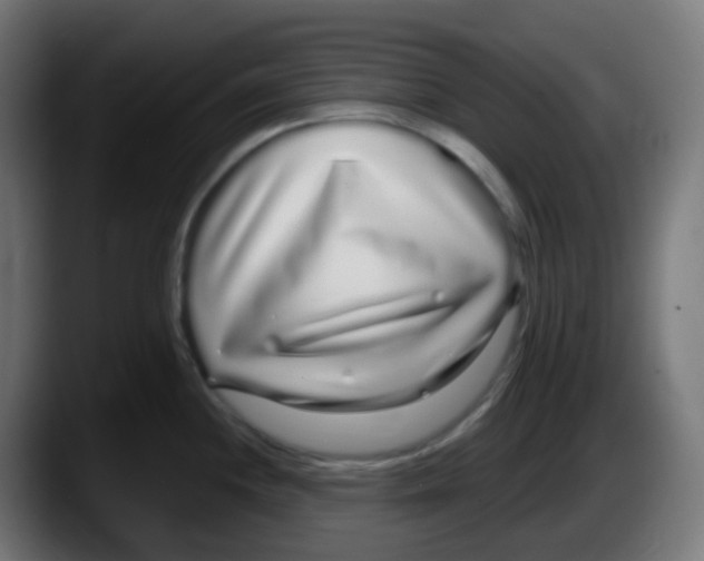 X0000087571244200705251814