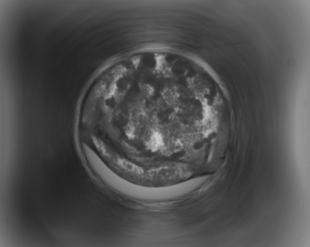 X0000087571245200705251814