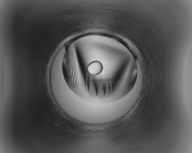 X0000087571246200705251814