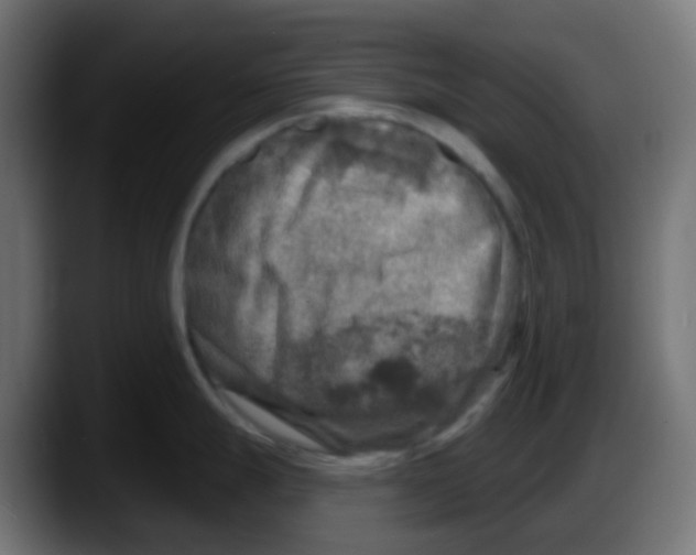 X0000087571247200705251814