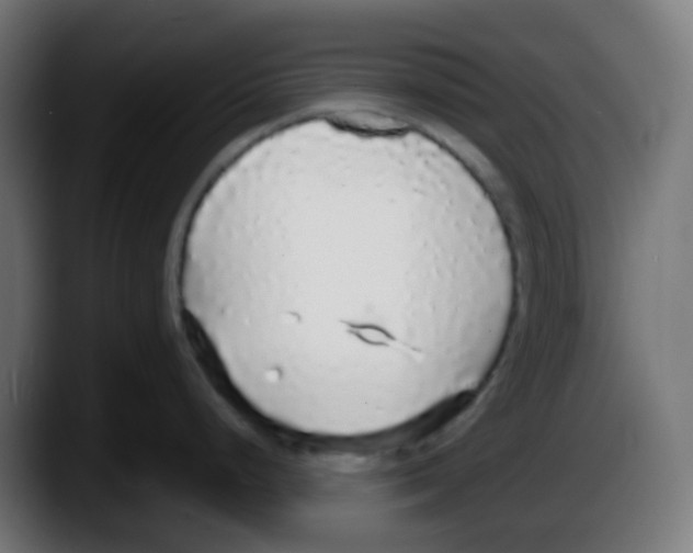 X0000087571248200705251814