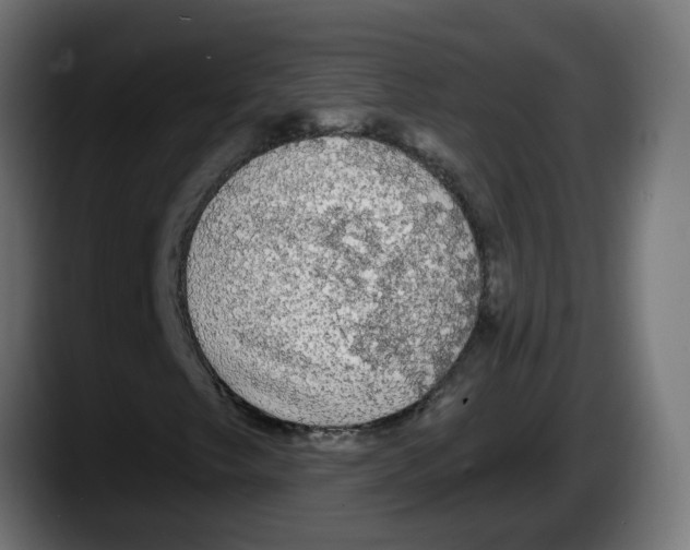 X0000087571249200705251813