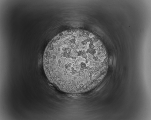 X0000087571251200705251813