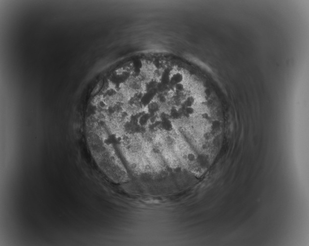 X0000087571255200705251813