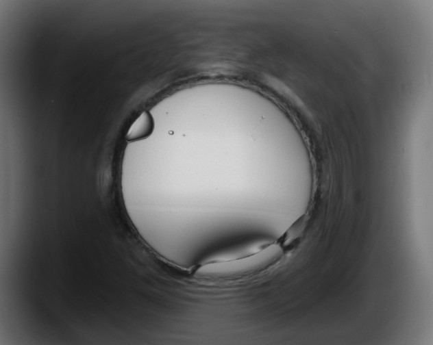 X0000087571261200705251813